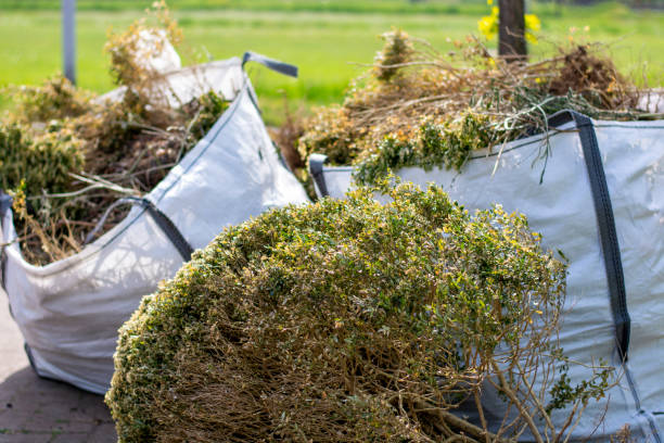 Best Office Junk Removal  in Fredericksburg, IA